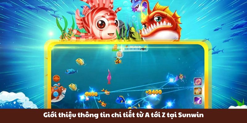 Giới thiệu thông tin chi tiết từ A tới Z tại Sunwin