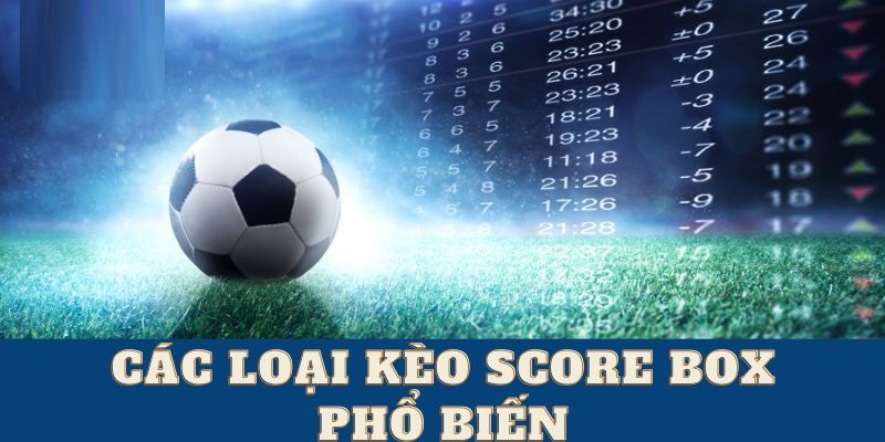 Nhiều loại kèo cược score box cho người chơi lựa chọn