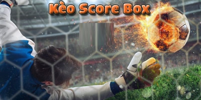 Tìm hiểu cơ bản về kèo score box trong cá cược bóng đá online