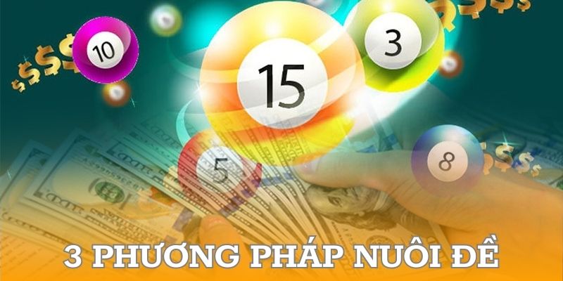 3 phương pháp nuôi đề tiết kiệm nhất