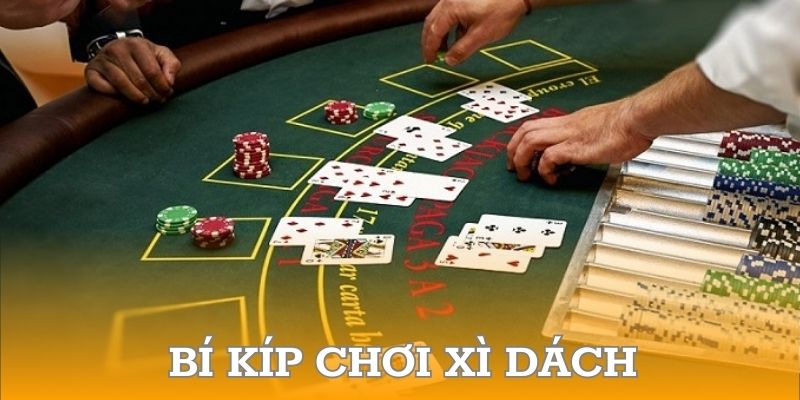 Bí kíp chơi xì dách là gì để thắng lớn mà tân binh nên biết