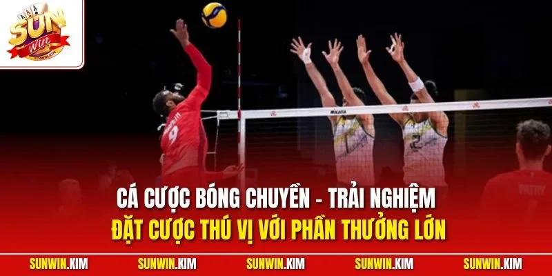 Cá cược bóng chuyền - Trải nghiệm đặt cược thú vị với phần thưởng lớn