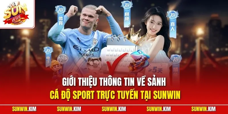 Giới thiệu thông tin về sảnh cá độ Sport trực tuyến tại SUNWIN